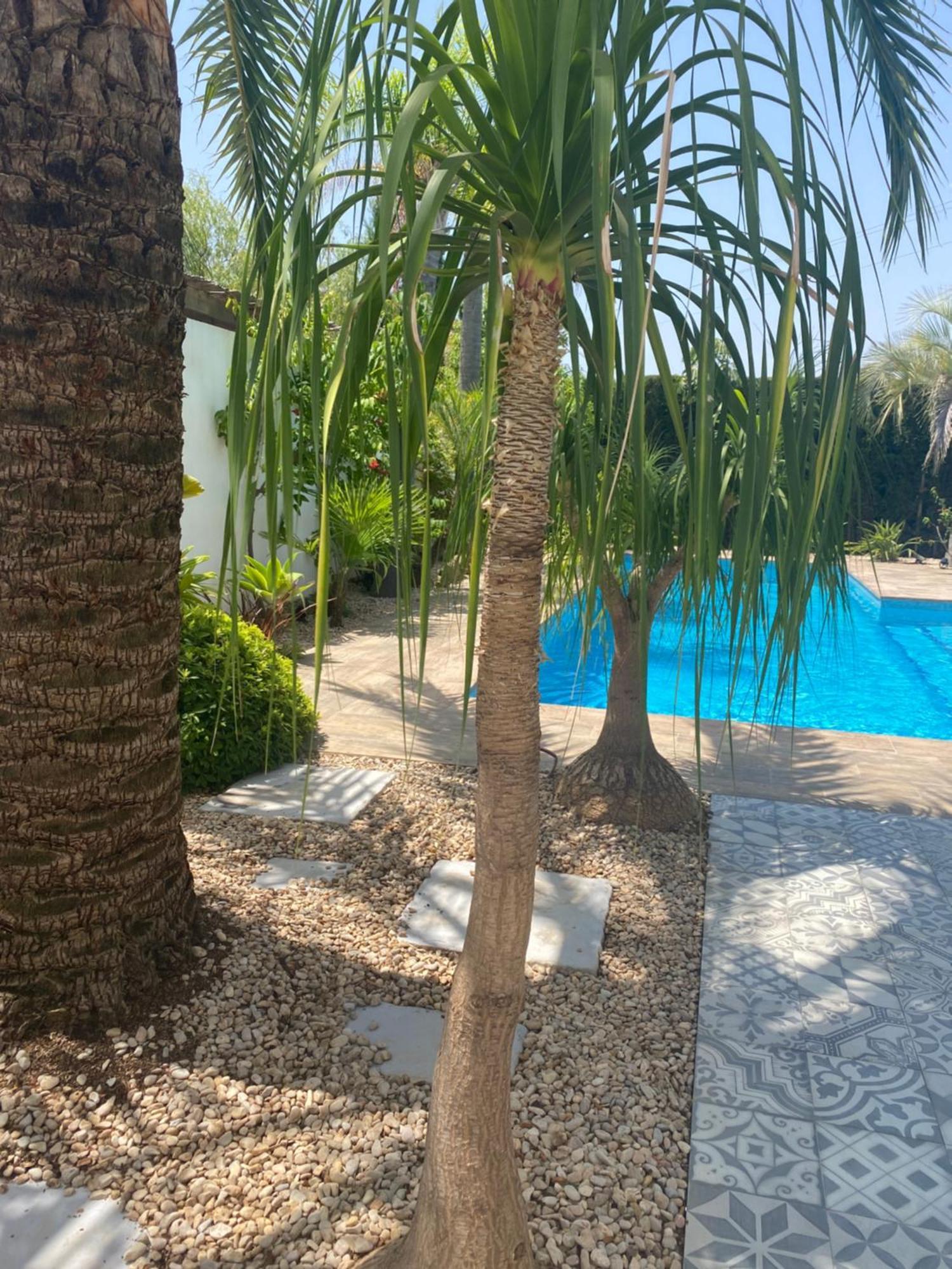 Bohospanishvilla Moraira Dış mekan fotoğraf